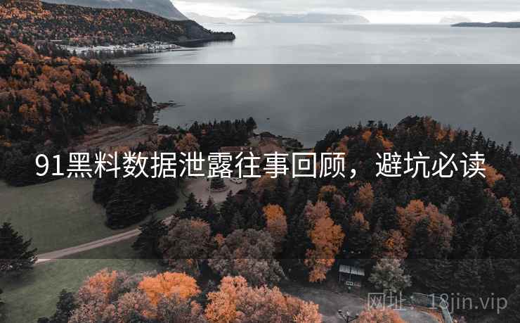 91黑料数据泄露往事回顾，避坑必读