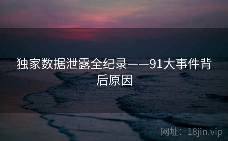 独家数据泄露全纪录——91大事件背后原因