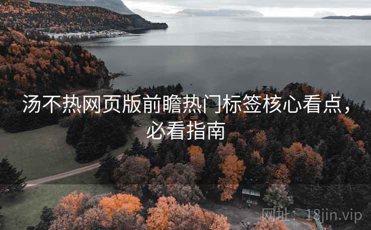汤不热网页版前瞻热门标签核心看点，必看指南