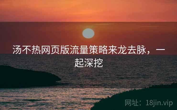 汤不热网页版流量策略来龙去脉，一起深挖