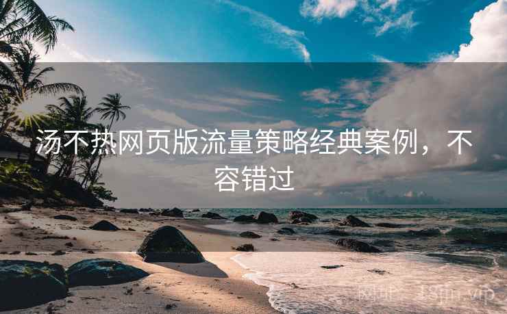 汤不热网页版流量策略经典案例，不容错过