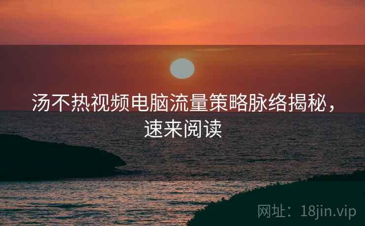 汤不热视频电脑流量策略脉络揭秘，速来阅读