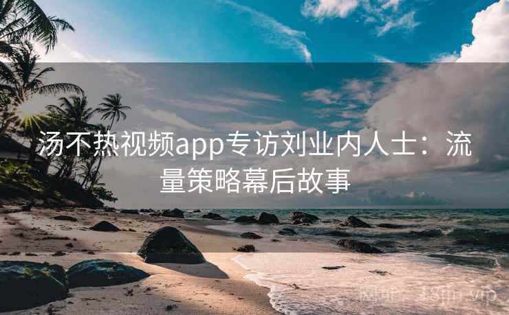 汤不热视频app专访刘业内人士：流量策略幕后故事