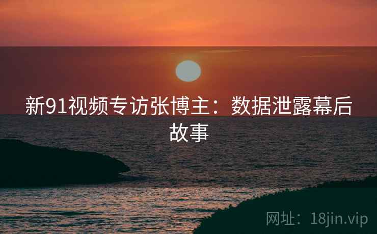 新91视频专访张博主：数据泄露幕后故事