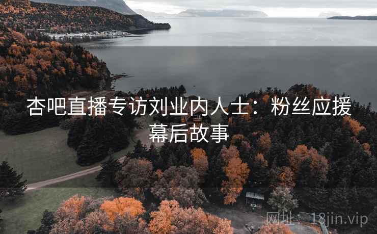 杏吧直播专访刘业内人士：粉丝应援幕后故事