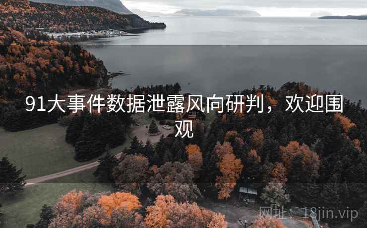 91大事件数据泄露风向研判，欢迎围观